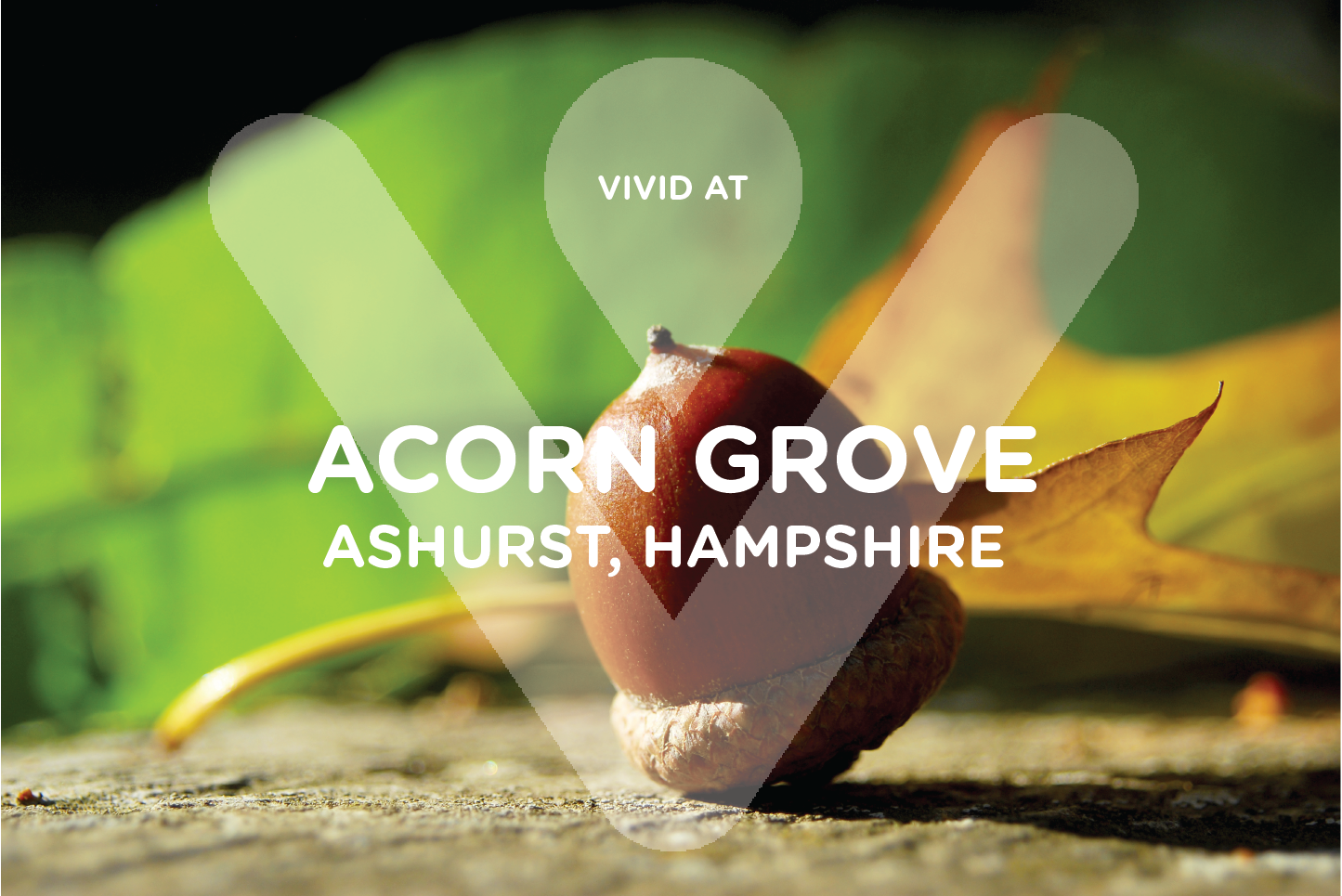 Acorn Grove logo